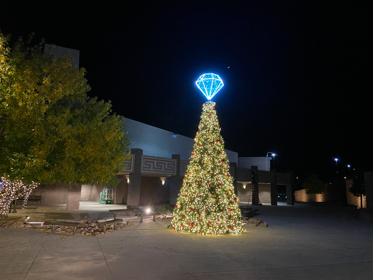 Corporate Holiday Lighting